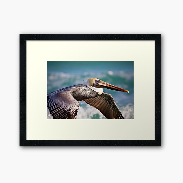 Item preview, Pelican Flying Over Caribbean Sea  designed and sold by Vargulich.