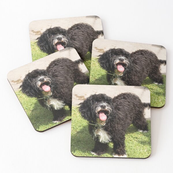 Item preview, Cute Cavapoo Puppy  designed and sold by Jane Stanley Photography.