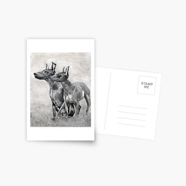 Vista previa del artículo con la obra «Xoloitzcuintli Dog», diseñado y vendido por Oldetimemercan.