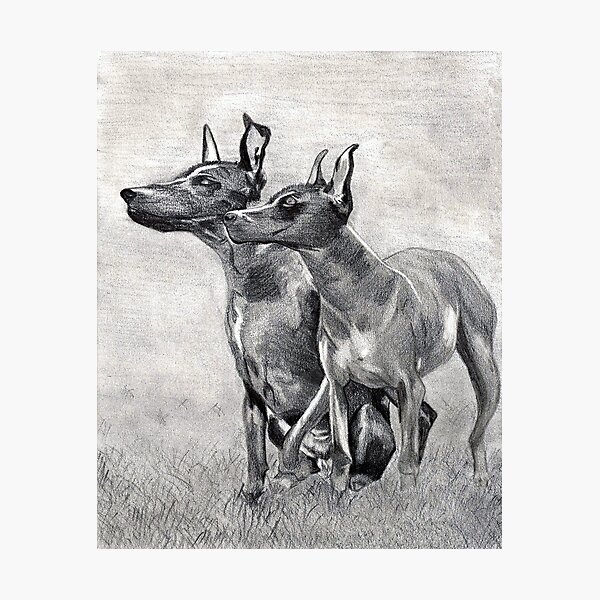 Item preview, Xoloitzcuintli Dog designed and sold by Oldetimemercan.