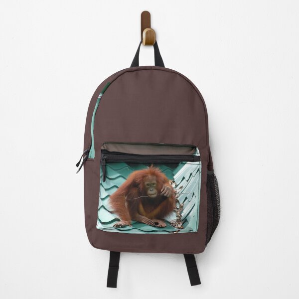 Item preview, Borneo Orangutan on Roof Photograph designed and sold by HotHibiscus.