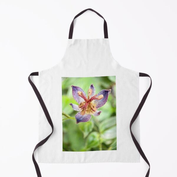 Item preview, Close up of a Tricyrtis Hirta flower designed and sold by TimConstable.