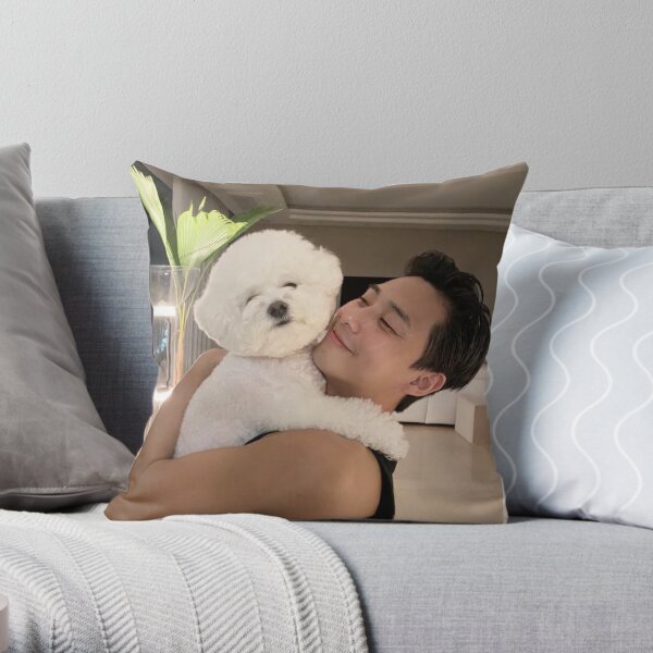 Park Seo Joon Coussin