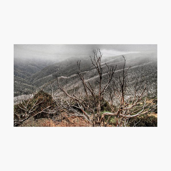 Item preview, Mount Hotham in Autumn designed and sold by benjamin-hodges.