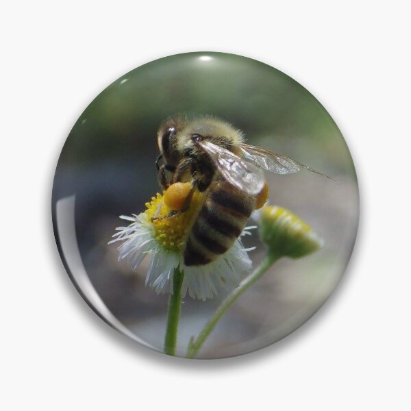 Item preview, buzzy boi designed and sold by CattyWahine.