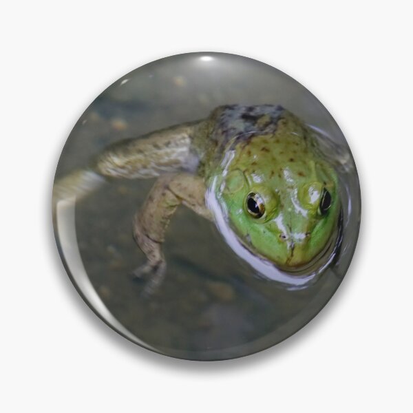 Item preview, Green Frog Dogpaddling designed and sold by mark-bugs-org.