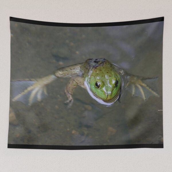 Item preview, Green Frog Dogpaddling designed and sold by mark-bugs-org.