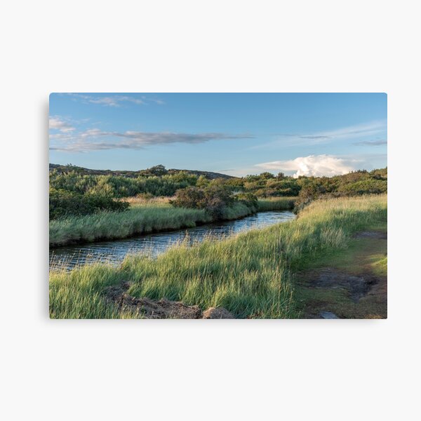Item preview, Landscape with a stream in summer evening designed and sold by EngineerGoC.
