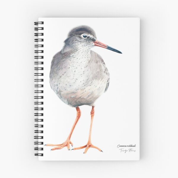 Item preview, Scientific Common redshank colored pencil art designed and sold by Petrún Sigurðardóttir.