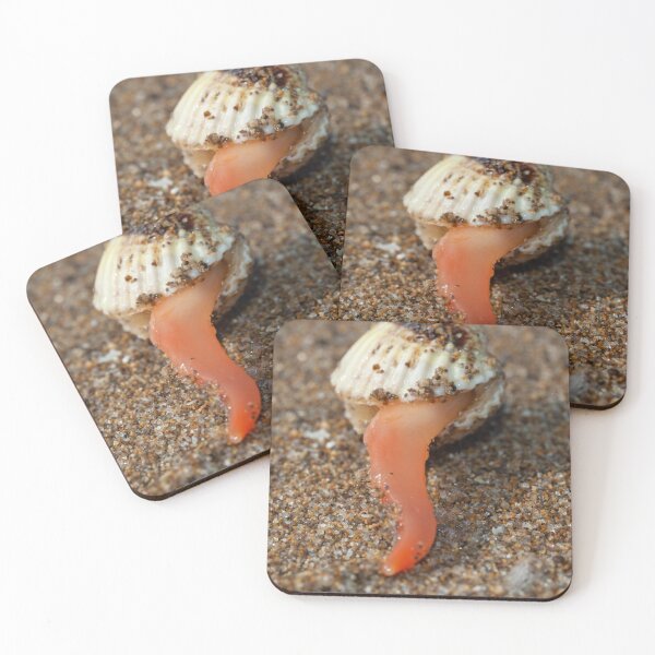 Item preview, Posavasos de octracon sonriente / Χαμογελαστό όστρακο para tabernas de pescado y más productos designed and sold by shelfpublisher.