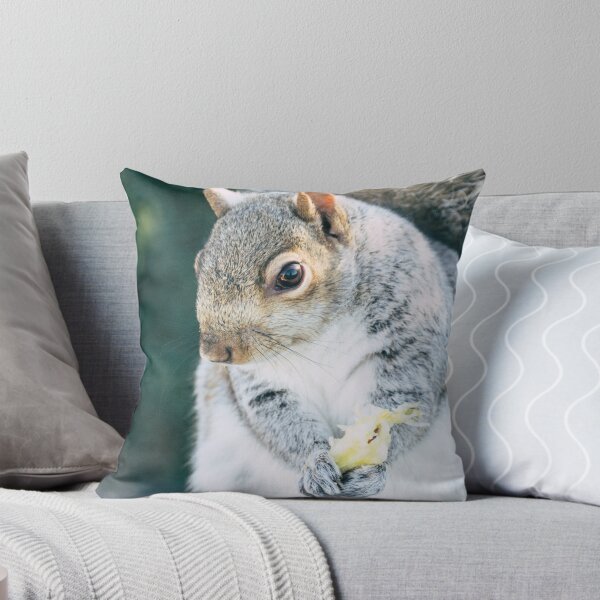 Item preview, Squirrely Snacks designed and sold by Alex Tonetti Photography.