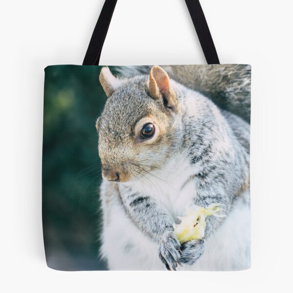 Item preview, Squirrely Snacks designed and sold by Alex Tonetti Photography.
