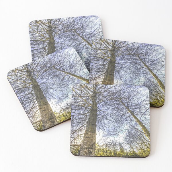 Item preview, A Quiet Forest designed and sold by Londonimages.