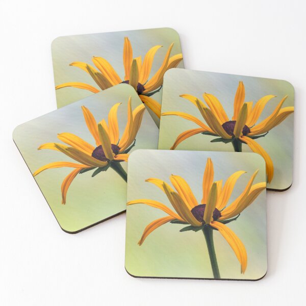 Item preview, Yellow Rudbeckia just opening. designed and sold by John Ray.