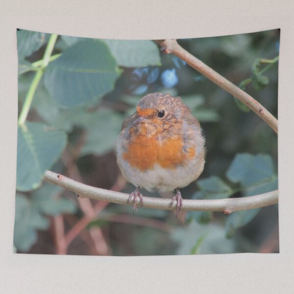Item preview, Snarky robin. designed and sold by joshuarainbird.