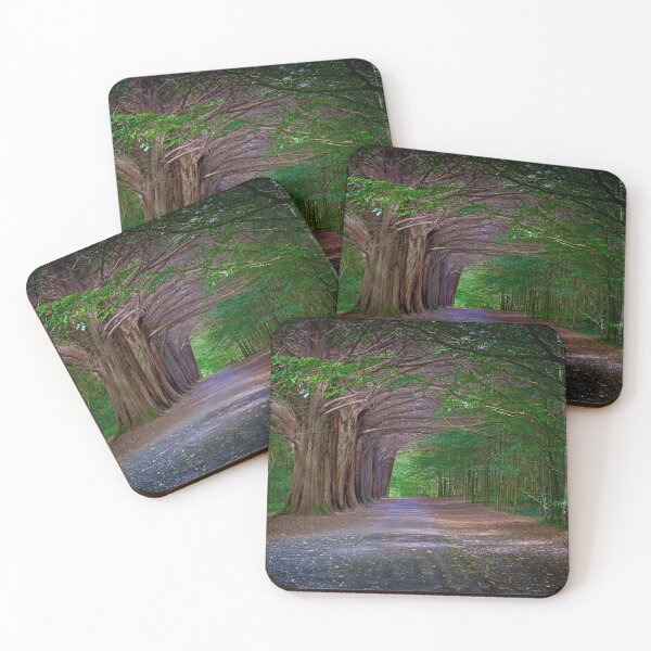 Item preview, Coole Park Tree Lined Avenue designed and sold by CathalDevlin.