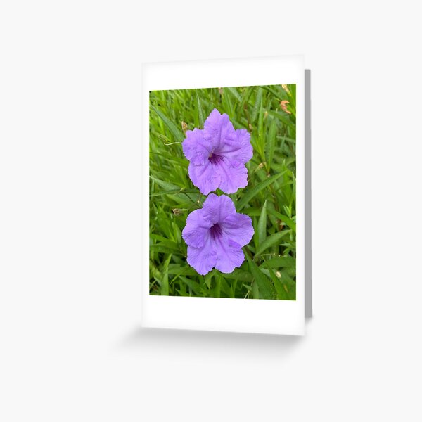 Two Hibiscus in Lavender - Master Bedroom Greeting Card
