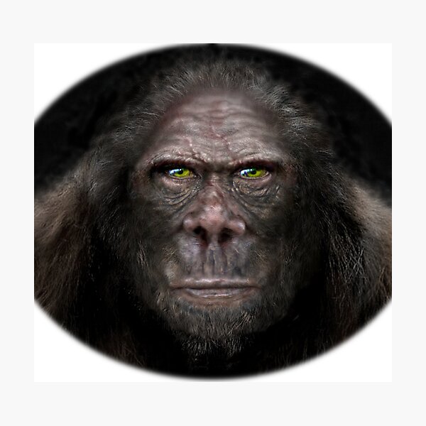 The face of bigfoot Photographic Print