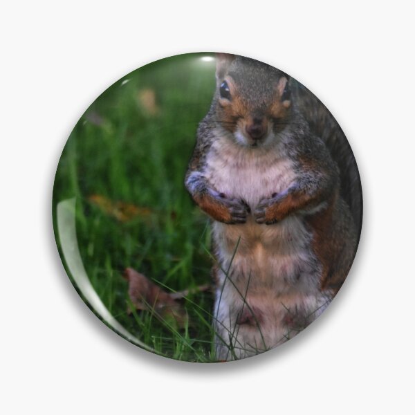Item preview, Squirrel 2 designed and sold by Charles Oliver Creations.