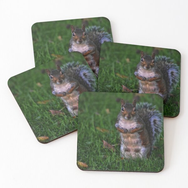 Item preview, Squirrel 2 designed and sold by Charles Oliver Creations.