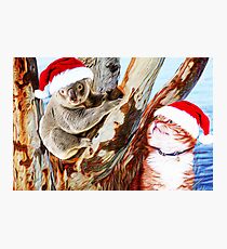 Christmas Down Under Photographic Print