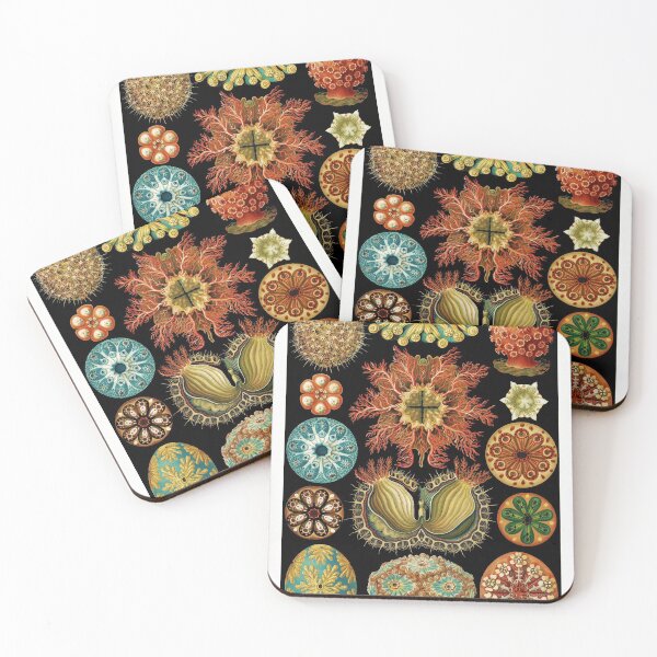 Item preview, Ernst Haeckel Asidiae Ascidians Sea Squirts  designed and sold by digitalvintage.