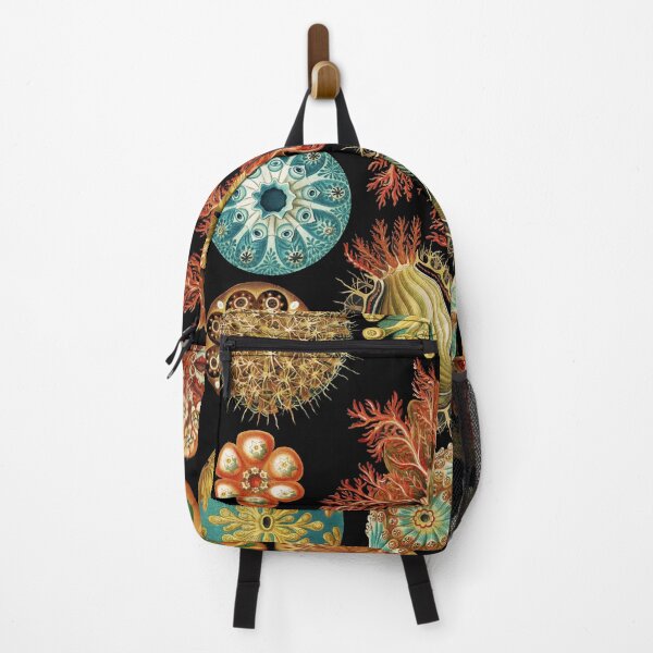 Item preview, Ernst Haeckel Asidiae Ascidians Sea Squirts  designed and sold by digitalvintage.