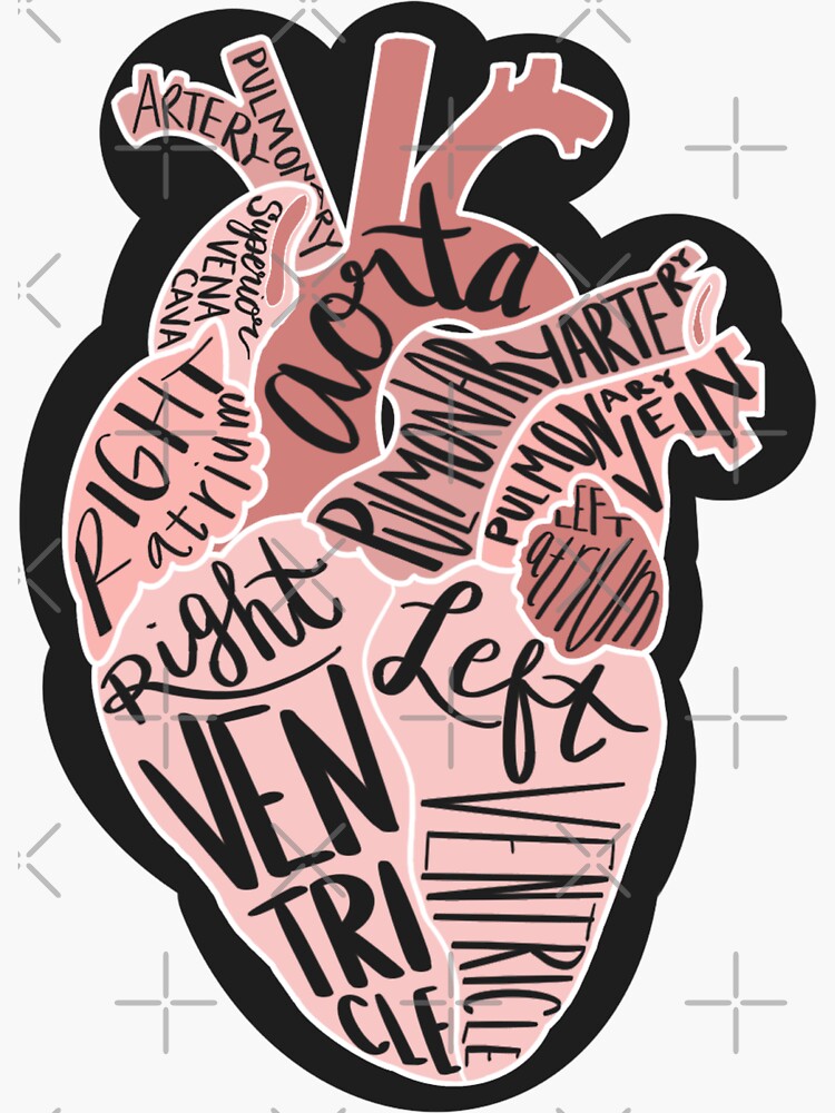 Parts of the Heart Sticker for Sale by spartan-54