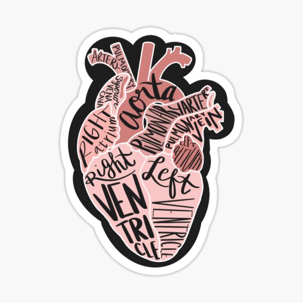 012item#) Anatomical Heart Sticker (medical, Doctor, Nurse