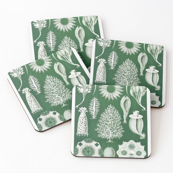 Item preview, Ernst Haeckel Calcispongiae Calcareous Sponge Porifera designed and sold by digitalvintage.