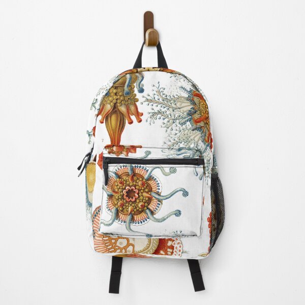 Item preview, Ernst Haeckel Hydromedusen Rohrenquallen Siphonophoren Tube Jellyfish designed and sold by digitalvintage.
