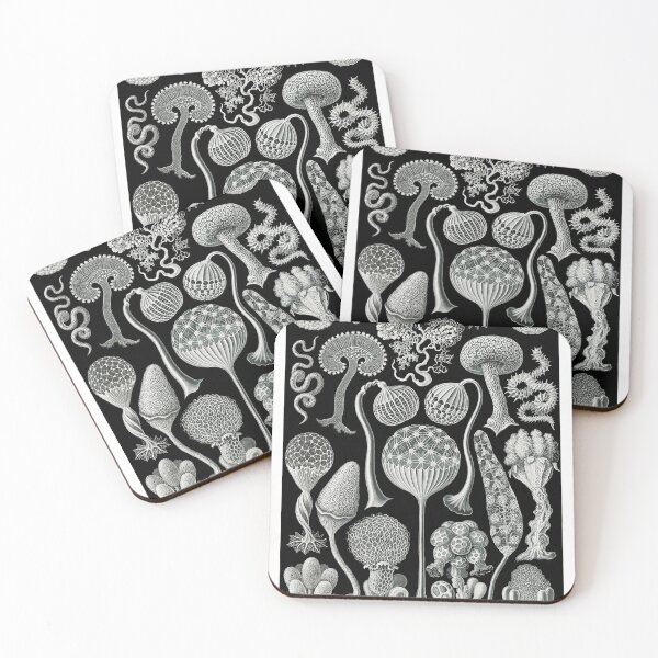 Item preview, Ernst Haeckel Mycetozoa Slime Molds Fungus Amoebozoa designed and sold by digitalvintage.