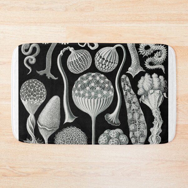 Item preview, Ernst Haeckel Mycetozoa Slime Molds Fungus Amoebozoa designed and sold by digitalvintage.