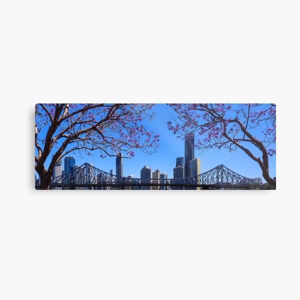 Brisbane Jacaranda Metal Print