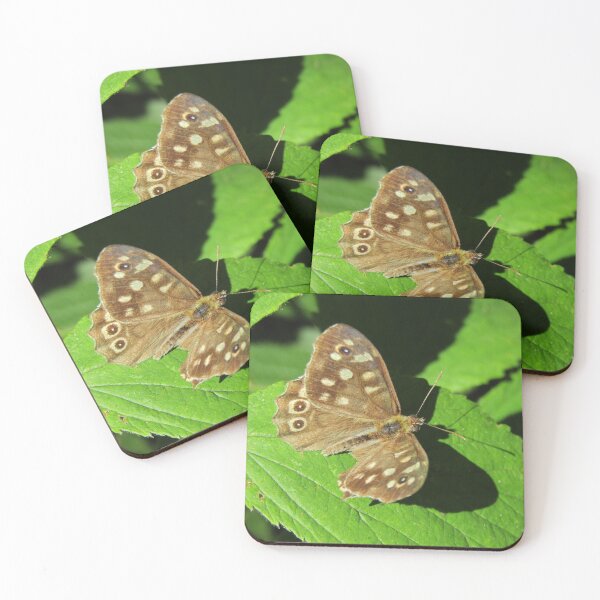 Item preview, Speckled wood butterfly (Pararge aegeria) on brambles designed and sold by joshuarainbird.