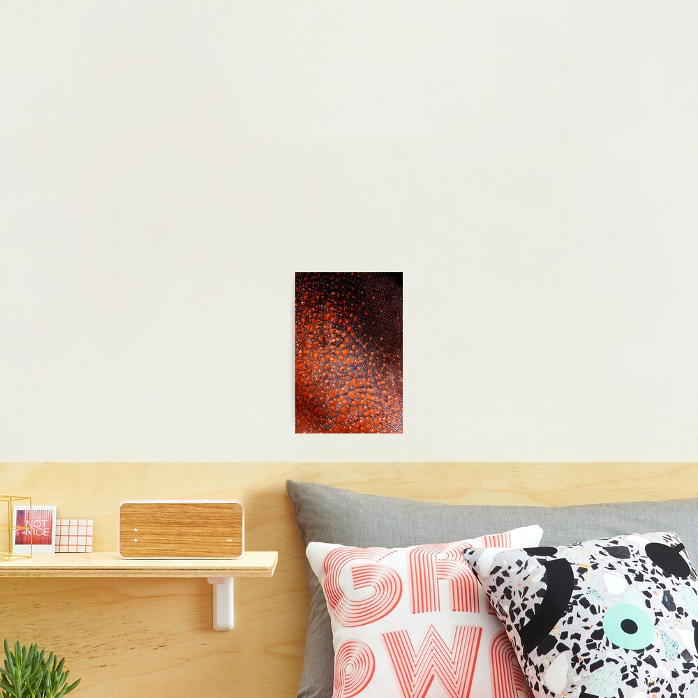 Item preview, Photographic Print designed and sold by monaiman.
