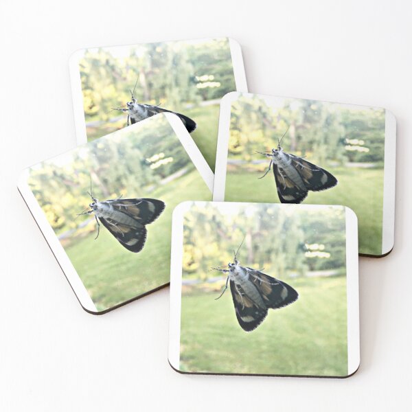 Item preview, Moth designed and sold by Stephanie Fay.