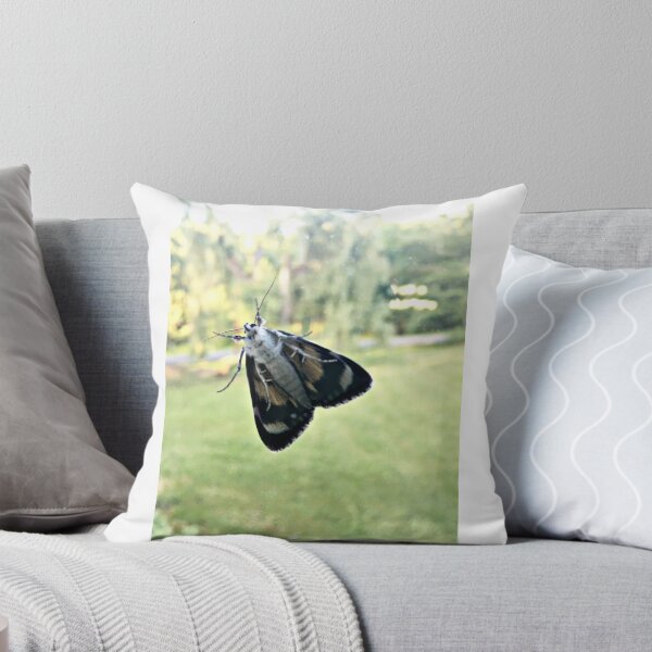 Item preview, Moth designed and sold by Stephanie Fay.