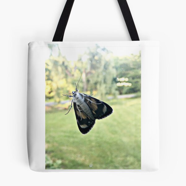 Item preview, Moth designed and sold by Stephanie Fay.