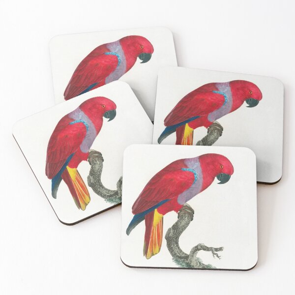 Item preview, The Eclectus Parrot by Francois Lavaillant designed and sold by TheCurators.