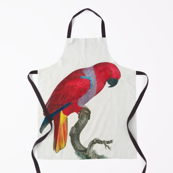 Item preview, The Eclectus Parrot by Francois Lavaillant designed and sold by TheCurators.