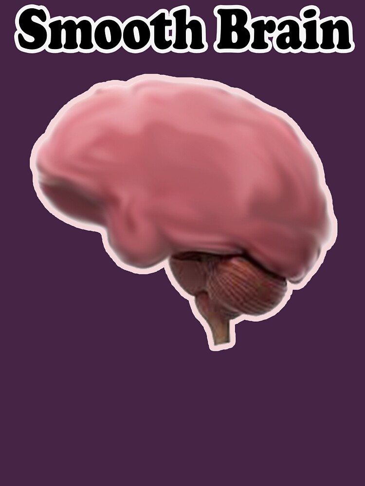 "smooth brain" Tshirt for Sale by SmoothArtNelly Redbubble brain t