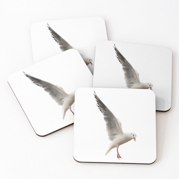 Item preview, Black-headed Gull in Flight designed and sold by kswild.
