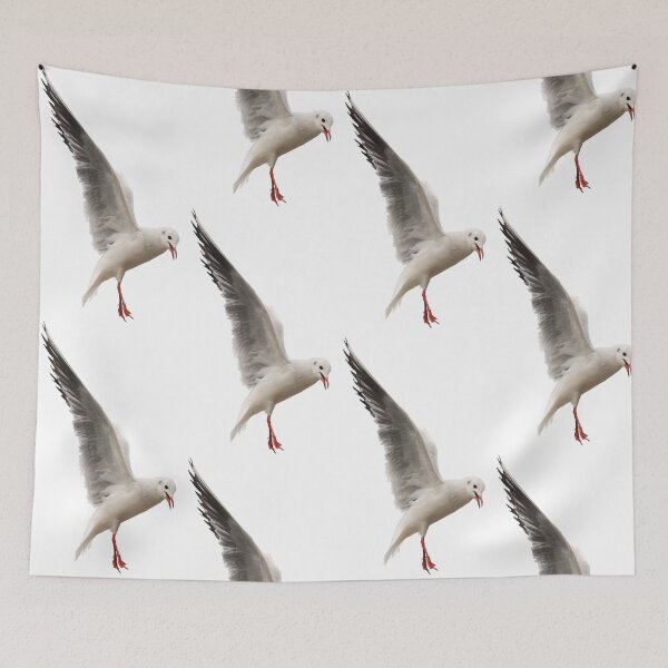 Item preview, Black-headed Gull in Flight designed and sold by kswild.