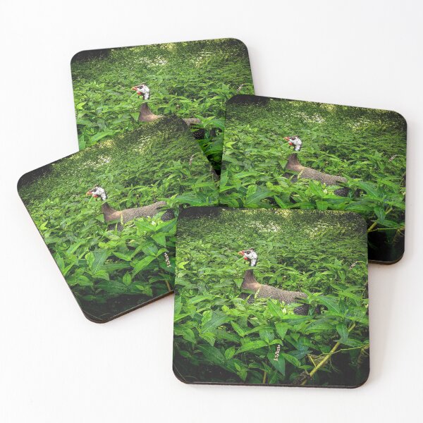 Item preview, Guinea designed and sold by Ashley Gagnon.