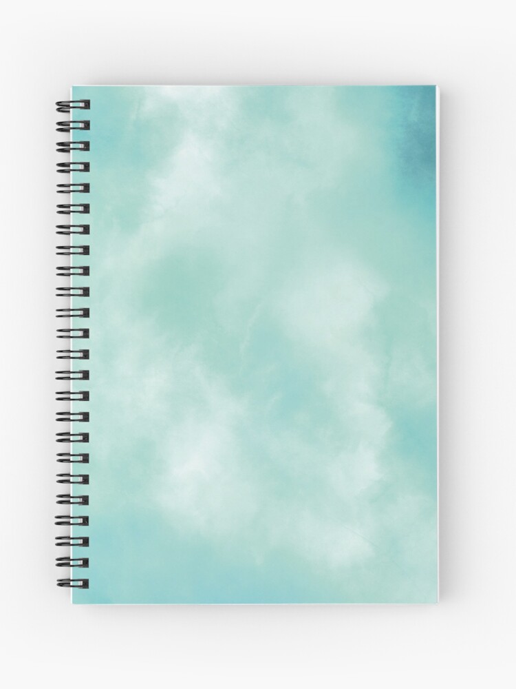 Mini Spiral Notebook (2 pk)