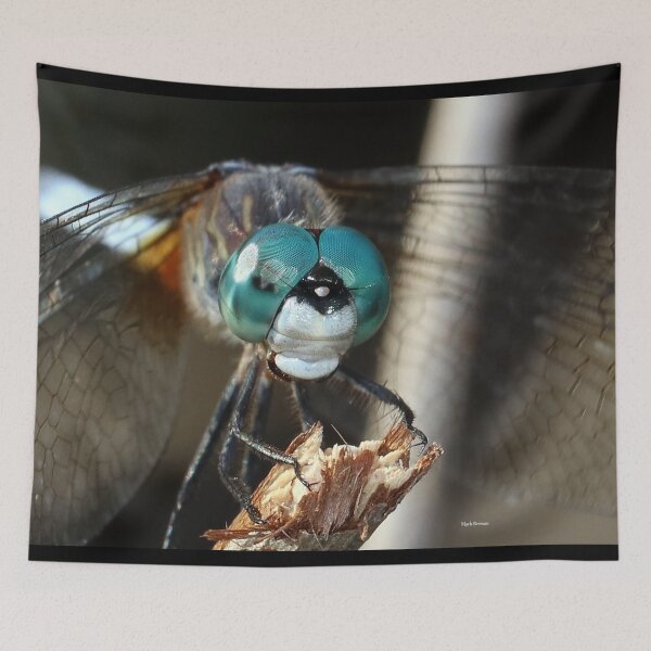 Item preview, Dragonfly Face-Mask designed and sold by mark-bugs-org.