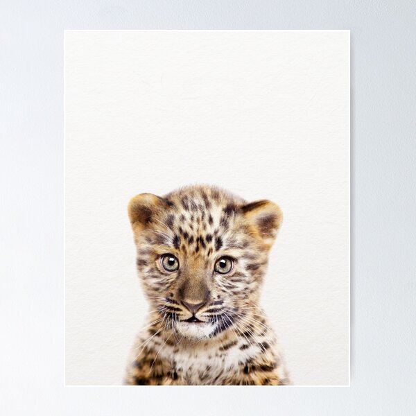 Baby Leopard, Redbubble \