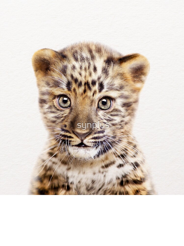 Baby Leopard Baby Animals Art Print By Synplus Kids T Shirt By Synplus Redbubble