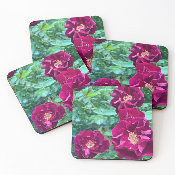 Item preview, Wild Roses designed and sold by Maureen Zaharie.